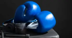 Read more about the article Everlast Boxing Gloves: Your Ultimate Guide to Quality Gear